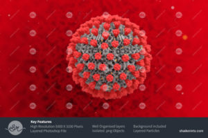 Corona Virus