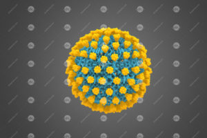 Corona Virus 3d Render