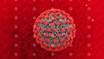 Corona Virus