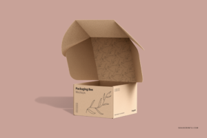 cardboard version delivery box mockups