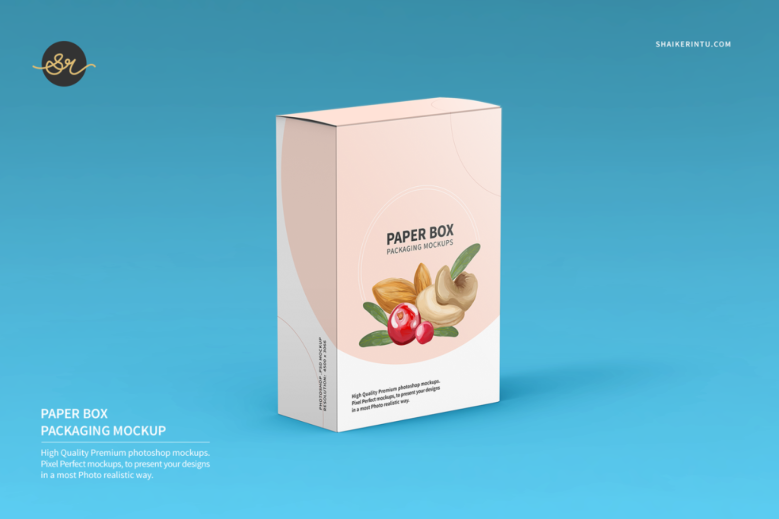 Customizable Paper Packaging Box Templates